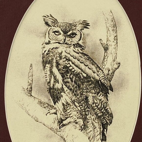 Jack Bolin Great Horned Owl Print Framed Wall Art Limited Edition numbered 39/50 - Picture 8 of 15